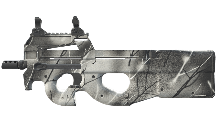 P90 | Ash Wood (Factory New)
