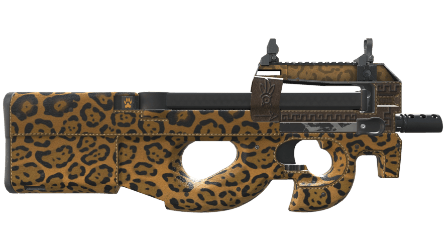 P90 | Run and Hide (Well-Worn)