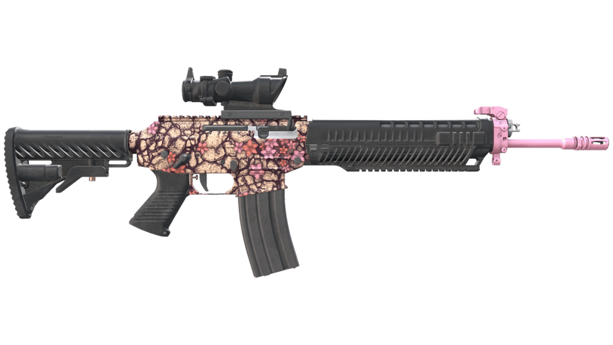 SG 553 | Desert Blossom (Factory New)