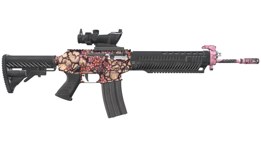 SG 553 | Desert Blossom (Well-Worn)