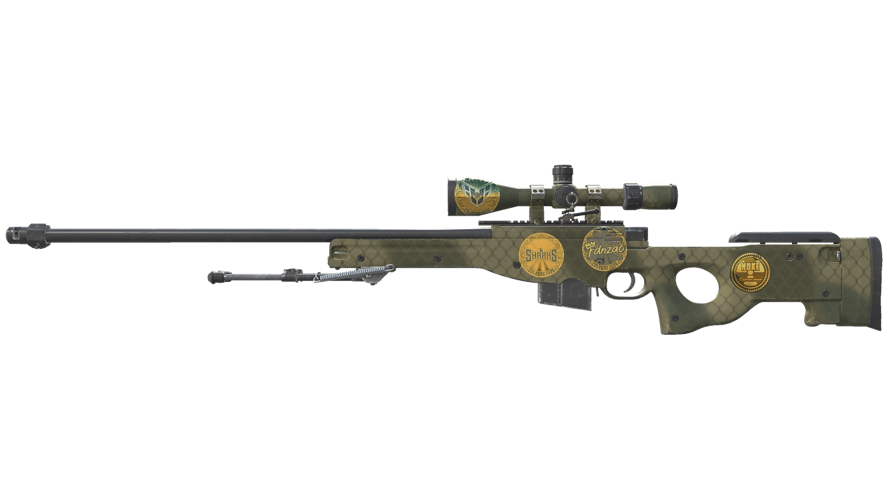 Souvenir AWP | Safari Mesh (Minimal Wear)