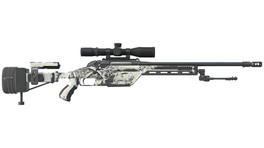 Souvenir SSG 08 | Detour (Field-Tested)