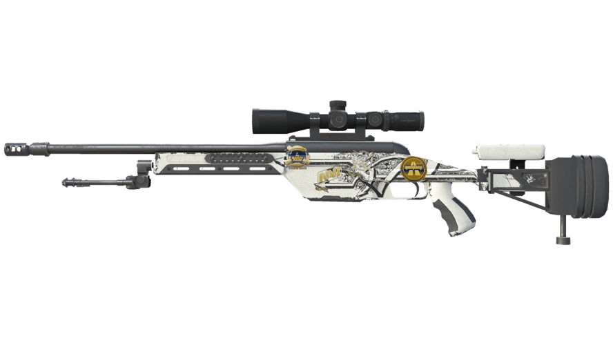 Souvenir SSG 08 | Detour (Field-Tested)