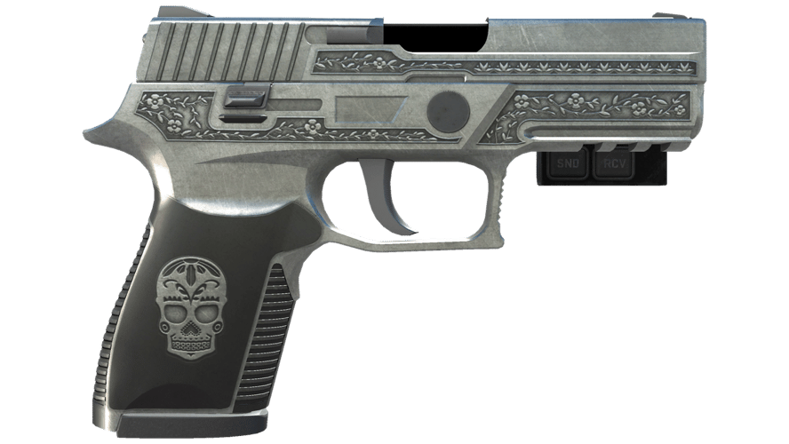 StatTrak™ P250 | Cartel (Field-Tested)