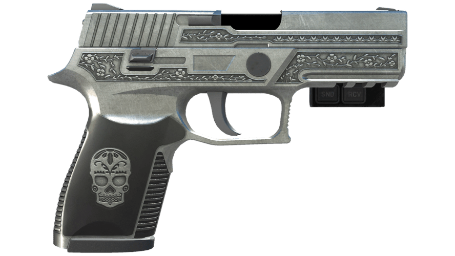 StatTrak™ P250 | Cartel (Field-Tested)