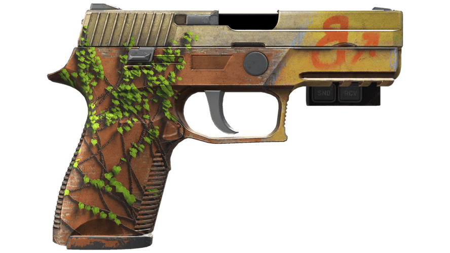 StatTrak™ P250 | Inferno (Field-Tested)