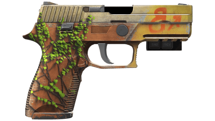 StatTrak™ P250 | Инферно (После полевых испытаний)