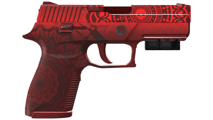 StatTrak™ P250 | Muertos (Field-Tested)