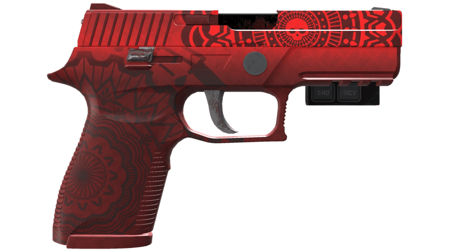 StatTrak™ P250 | Muertos (Well-Worn)