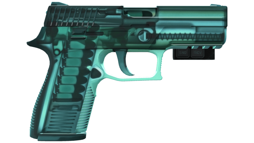 StatTrak™ P250 | X-Ray (Factory New)