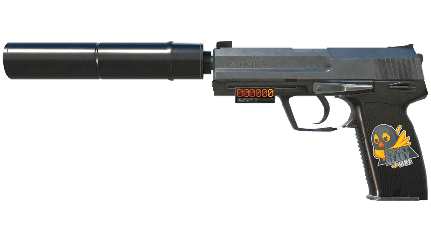 StatTrak™ USP-S | Stainless (Field-Tested)