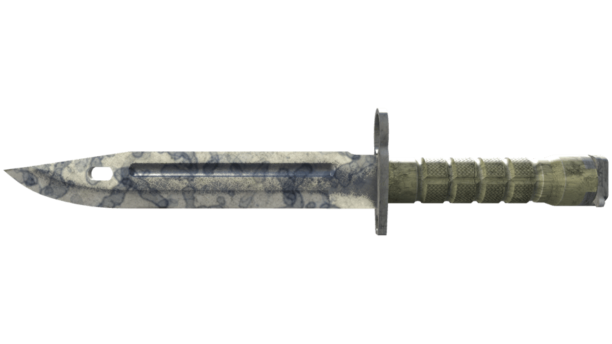 ★ Bayonet | Stained (Well-Worn)