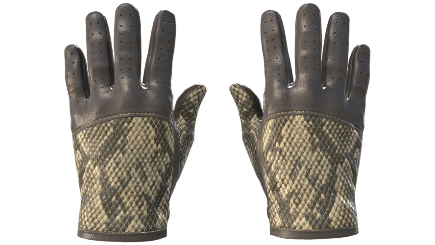 ★ Driver Gloves | Diamondback (Factory New)
