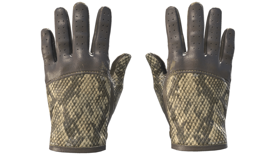★ Driver Gloves | Diamondback (Field-Tested)