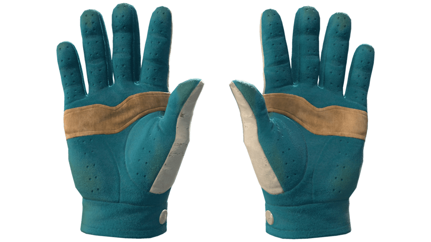★ Driver Gloves | Garden (Field-Tested)