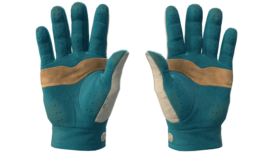 ★ Driver Gloves | Garden (Field-Tested)