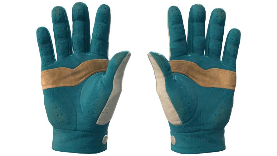 ★ Driver Gloves | Garden (Field-Tested)