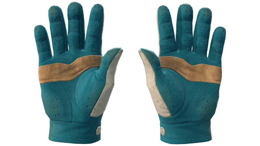 ★ Driver Gloves | Garden (Field-Tested)