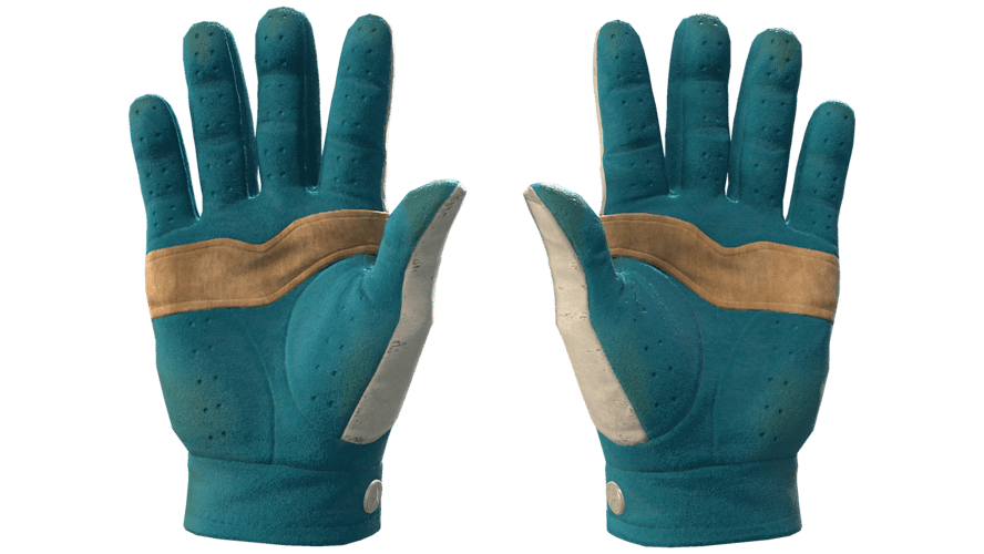 ★ Driver Gloves | Garden (Field-Tested)