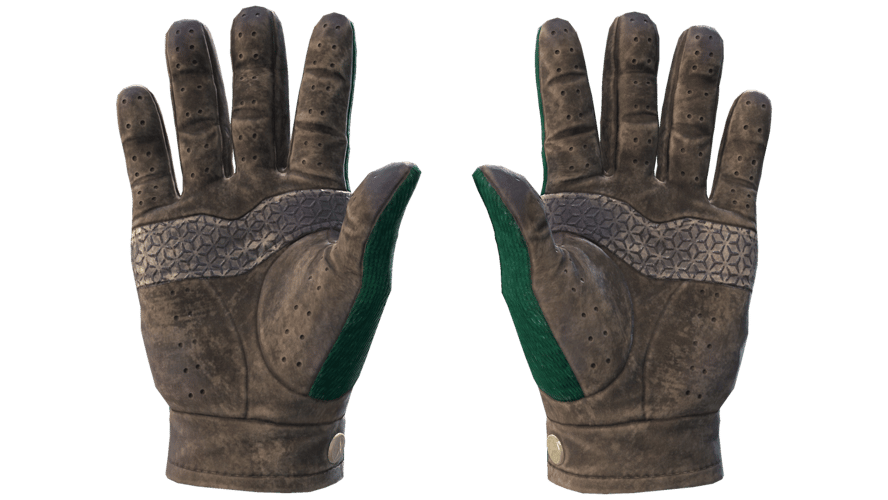 ★ Driver Gloves | Hand Sweaters (Field-Tested)