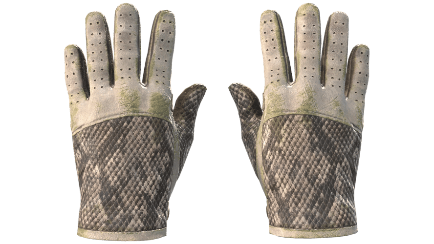 ★ Driver Gloves | King Snake (Battle-Scarred)
