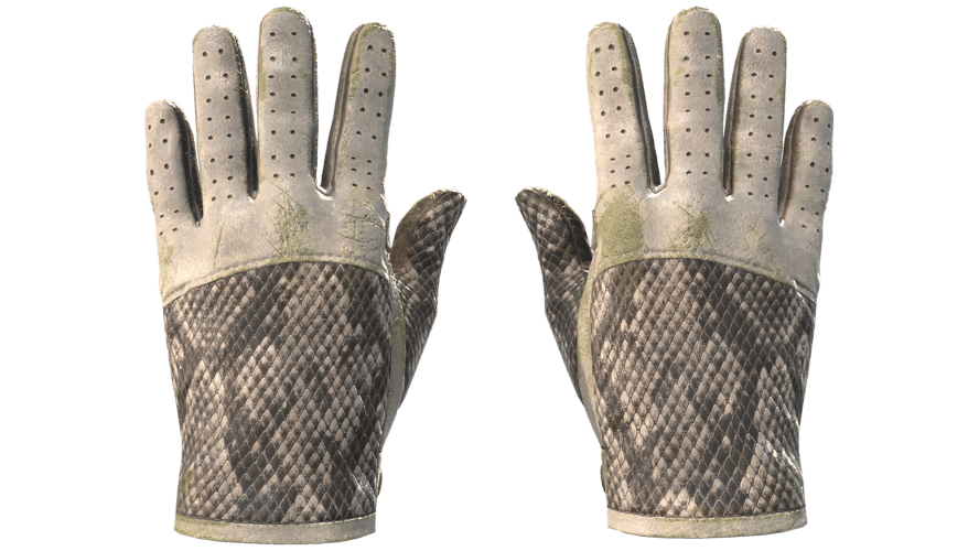★ Driver Gloves | King Snake (Battle-Scarred)