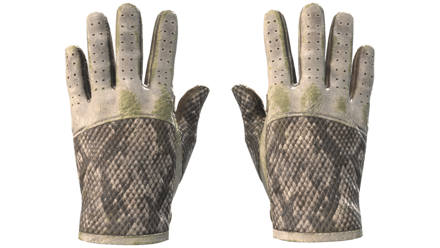 ★ Driver Gloves | King Snake (Battle-Scarred)