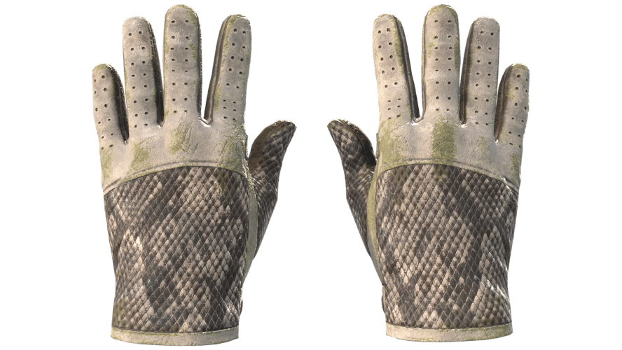★ Driver Gloves | King Snake (Battle-Scarred)