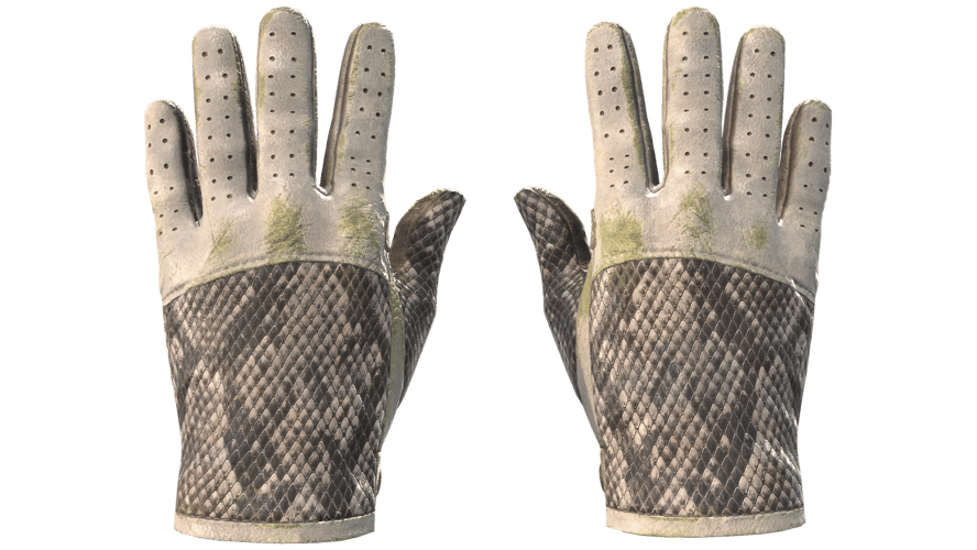 ★ Driver Gloves | King Snake (Battle-Scarred)