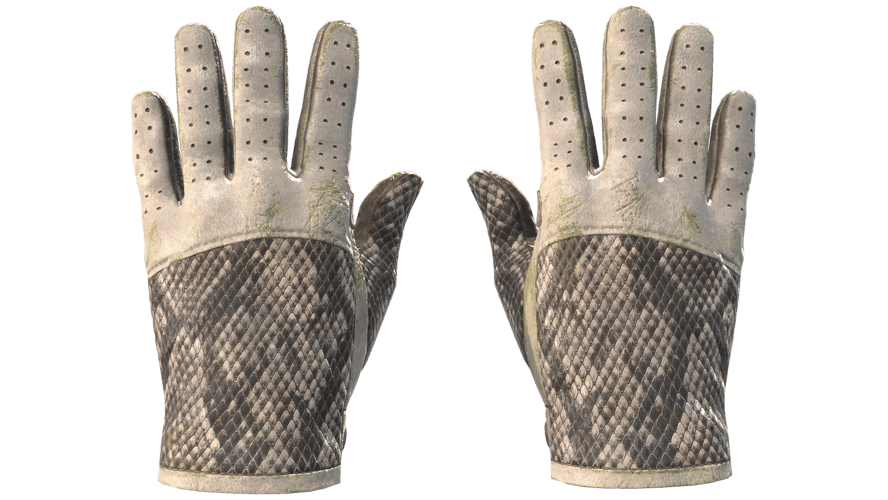 ★ Driver Gloves | King Snake (Battle-Scarred)