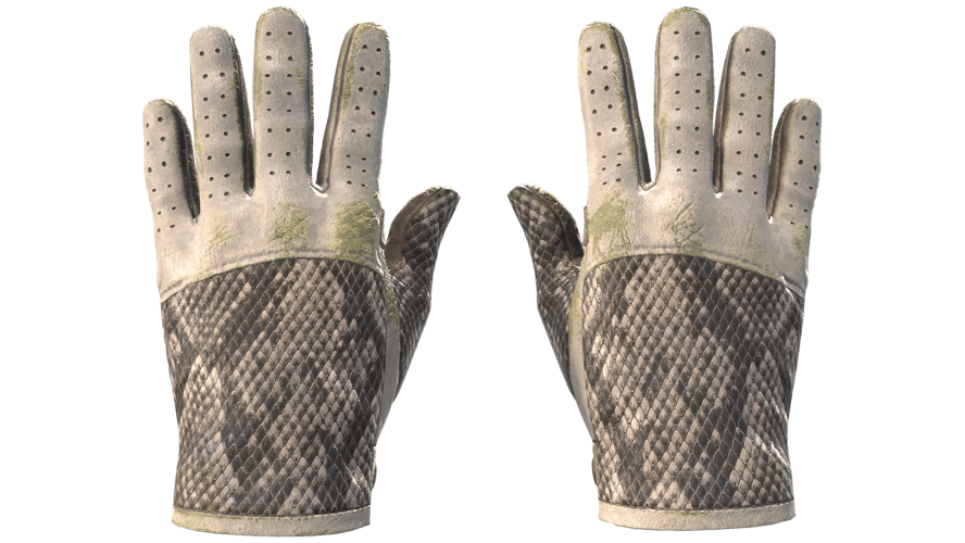 ★ Driver Gloves | King Snake (Battle-Scarred)