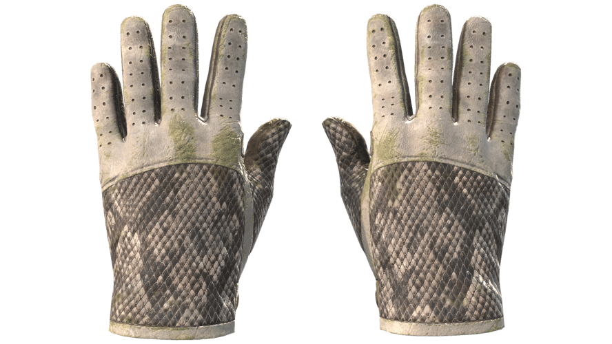★ Driver Gloves | King Snake (Battle-Scarred)