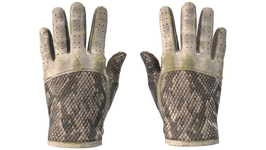 ★ Driver Gloves | King Snake (Battle-Scarred)