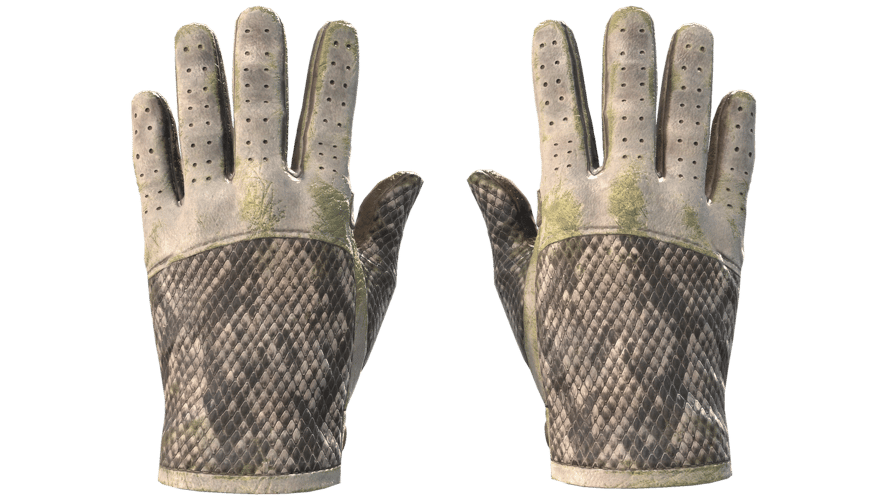 ★ Driver Gloves | King Snake (Battle-Scarred)