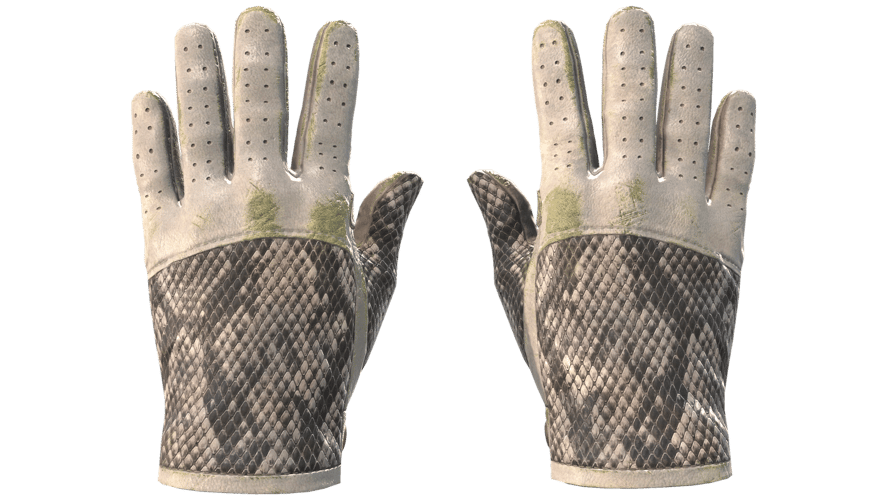 ★ Driver Gloves | King Snake (Field-Tested)