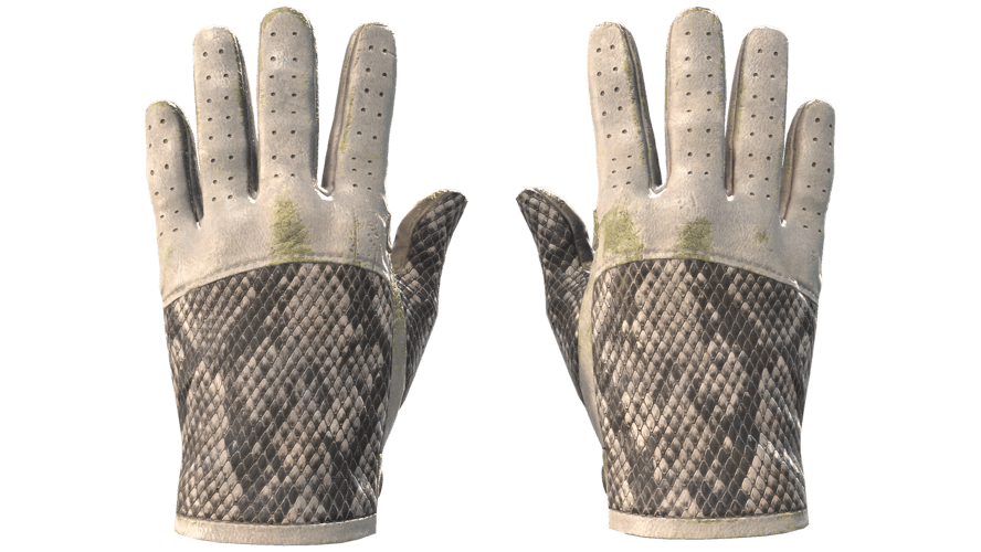 ★ Driver Gloves | King Snake (Field-Tested)