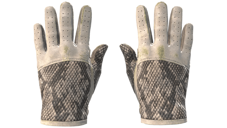 ★ Driver Gloves | King Snake (Field-Tested)