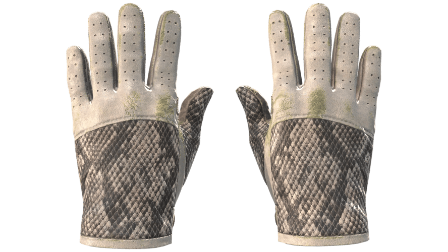★ Driver Gloves | King Snake (Field-Tested)