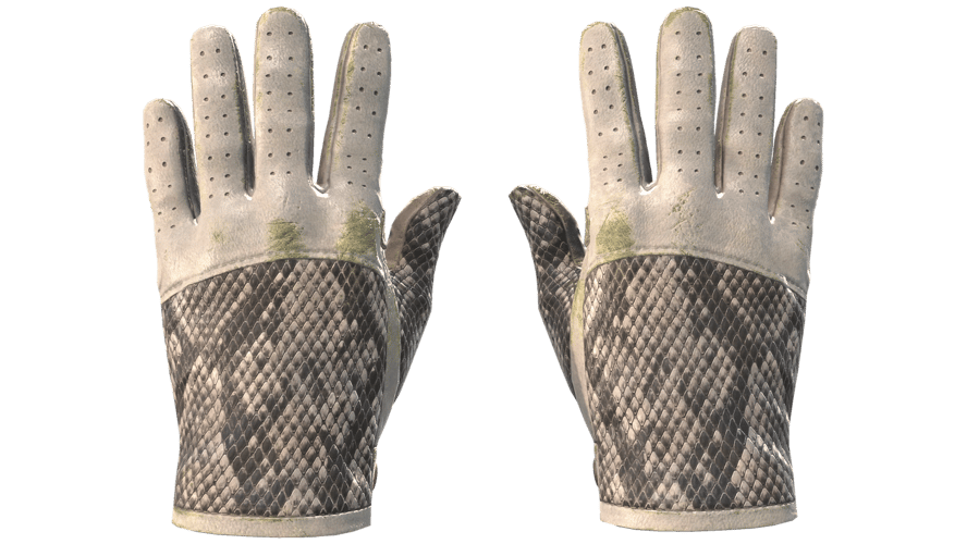 ★ Driver Gloves | King Snake (Field-Tested)