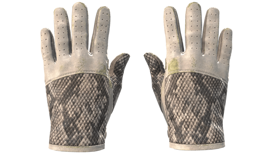 ★ Driver Gloves | King Snake (Field-Tested)