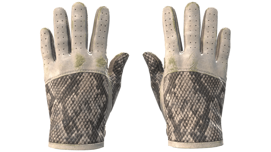 ★ Driver Gloves | King Snake (Field-Tested)