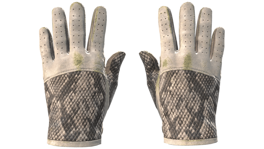 ★ Driver Gloves | King Snake (Field-Tested)