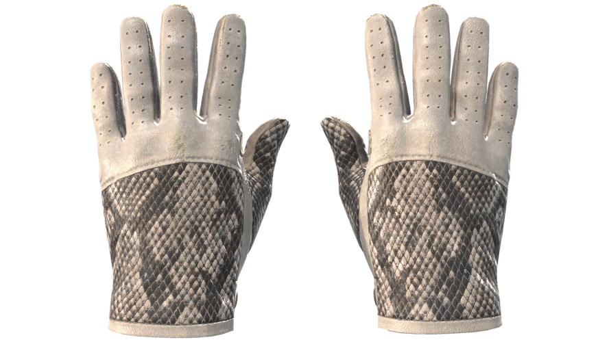 ★ Driver Gloves | King Snake (Minimal Wear)