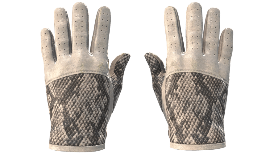 ★ Driver Gloves | King Snake (Minimal Wear)