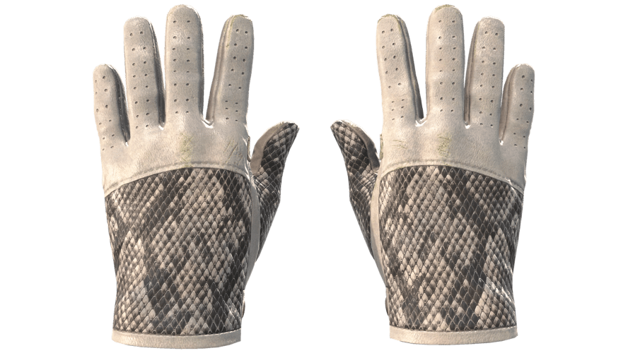 ★ Driver Gloves | King Snake (Minimal Wear)