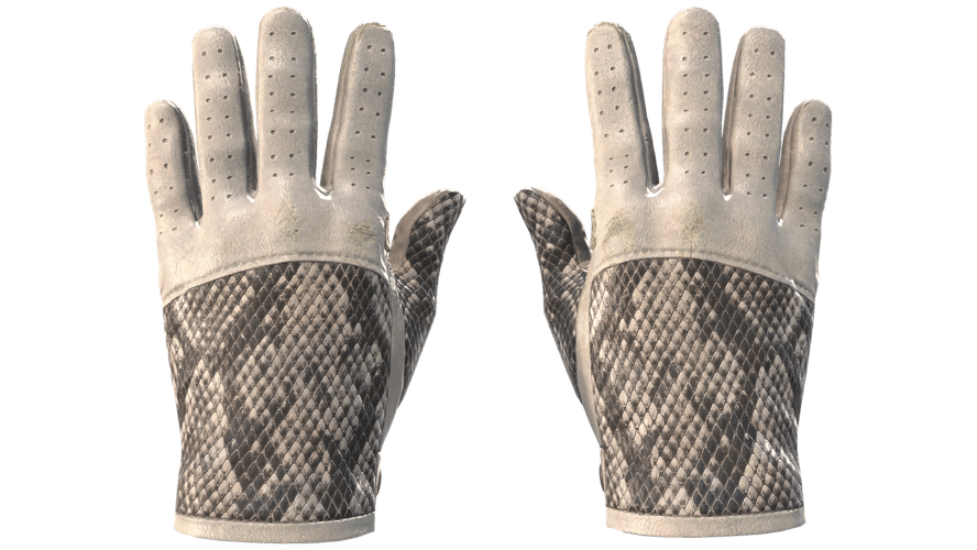 ★ Driver Gloves | King Snake (Minimal Wear)