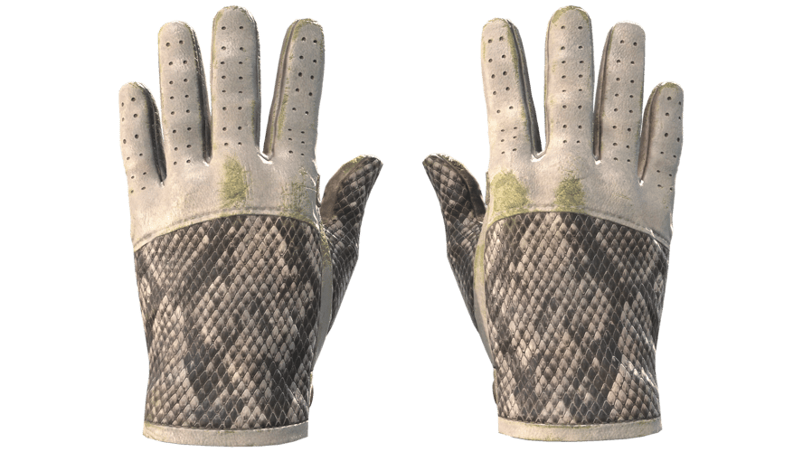 ★ Driver Gloves | King Snake (Well-Worn)