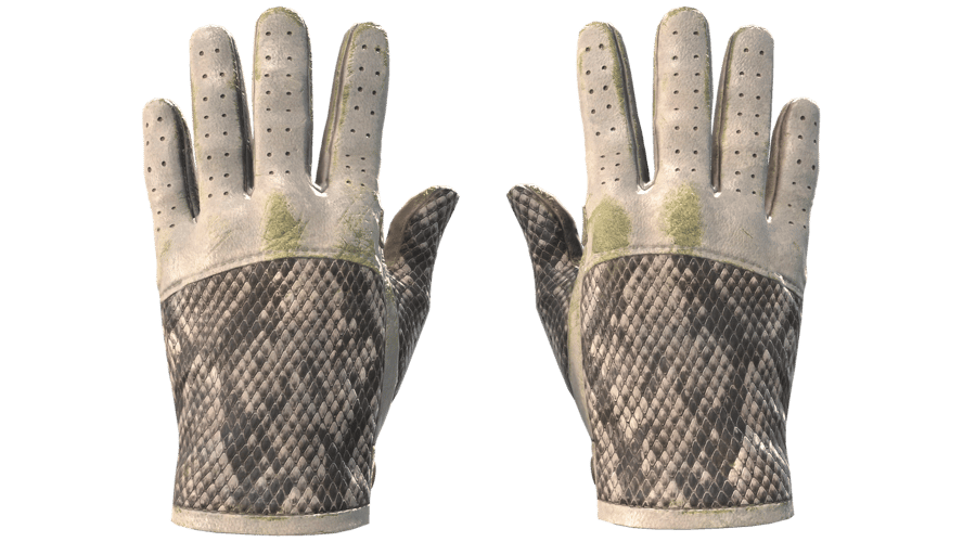 ★ Driver Gloves | King Snake (Well-Worn)