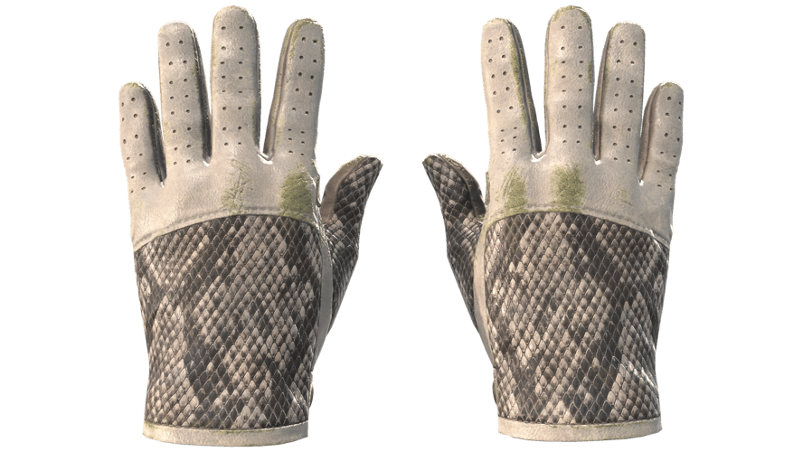 ★ Driver Gloves | King Snake (Well-Worn)