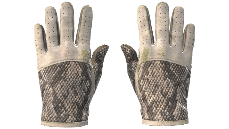 ★ Driver Gloves | King Snake (Well-Worn)